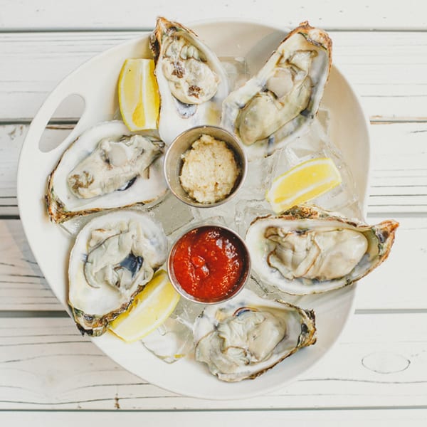 Six fresh oysters on a white plate with ice, lemon wedges, cocktail sauce, and horseradish.