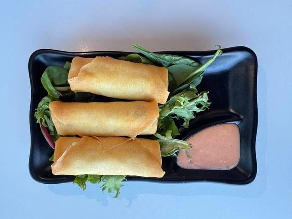 Vegetable Spring Roll (3).