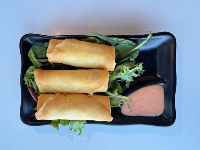 Vegetable Spring Roll (3).